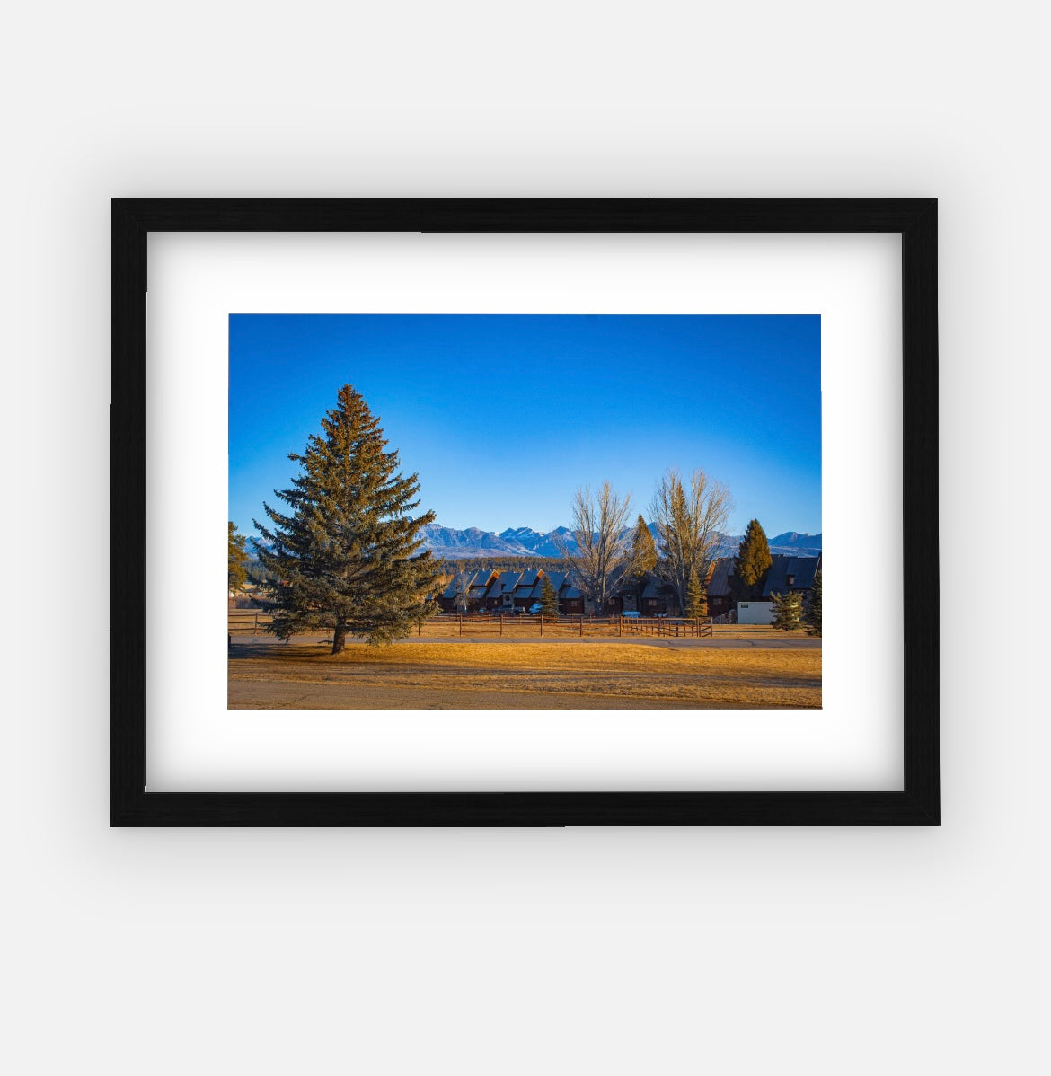 “261 driftwood” (11x14) Framed Print