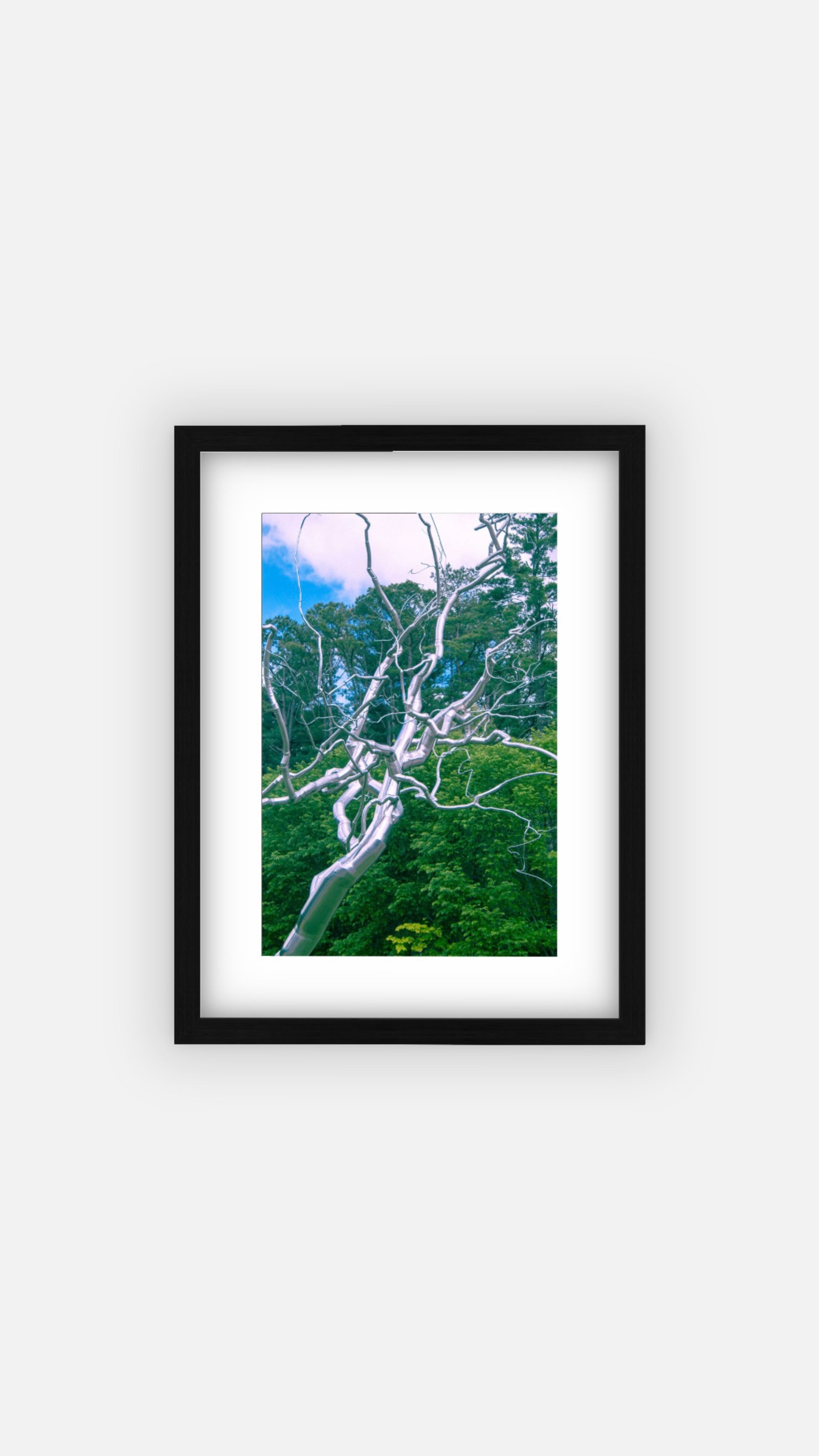 “Iron bloom” (11x14) Framed Print
