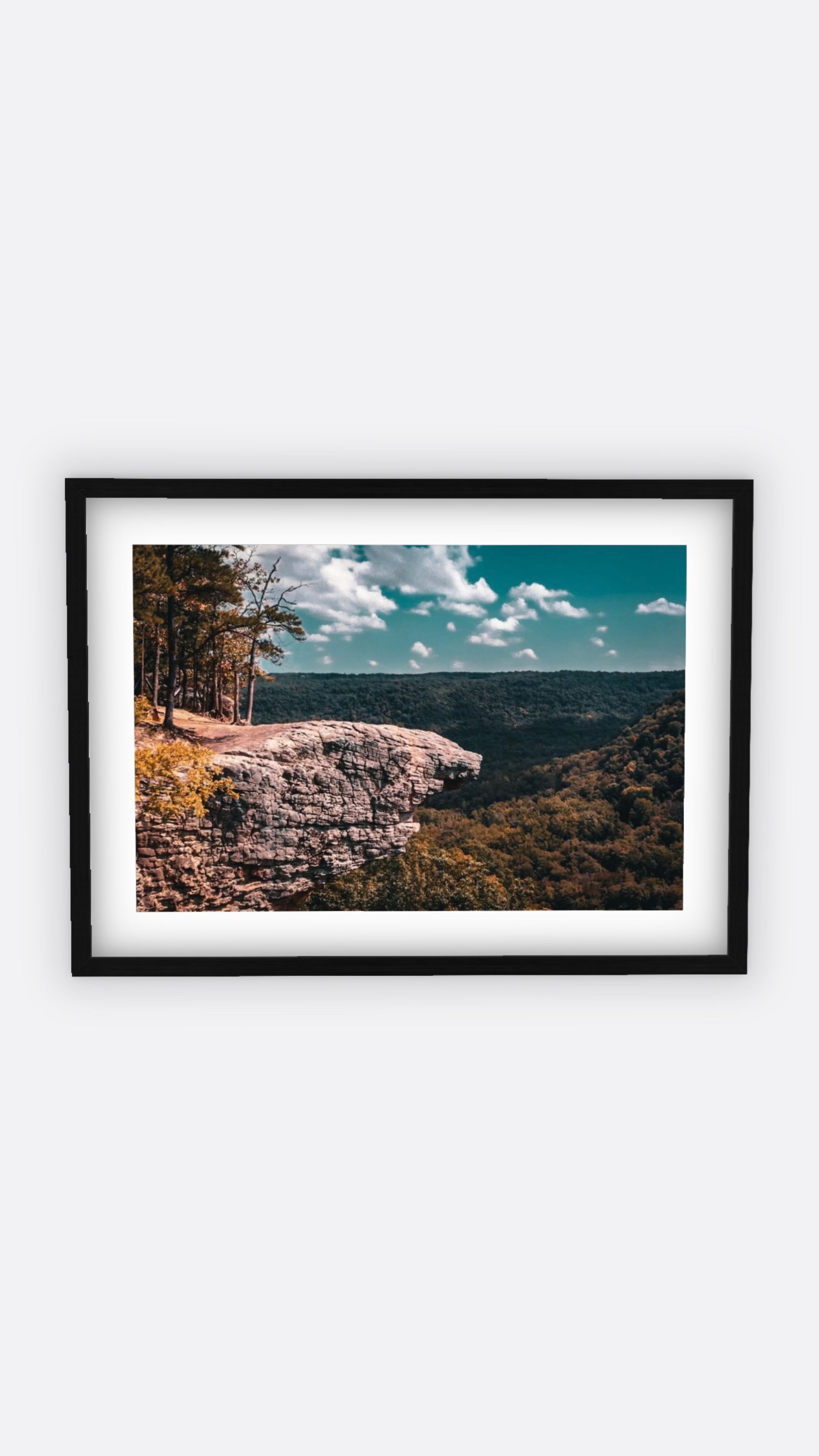 “Hawksbill” (11x14) Framed Print