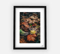 “Fall Foilage” (11x14) Framed Print  image 0