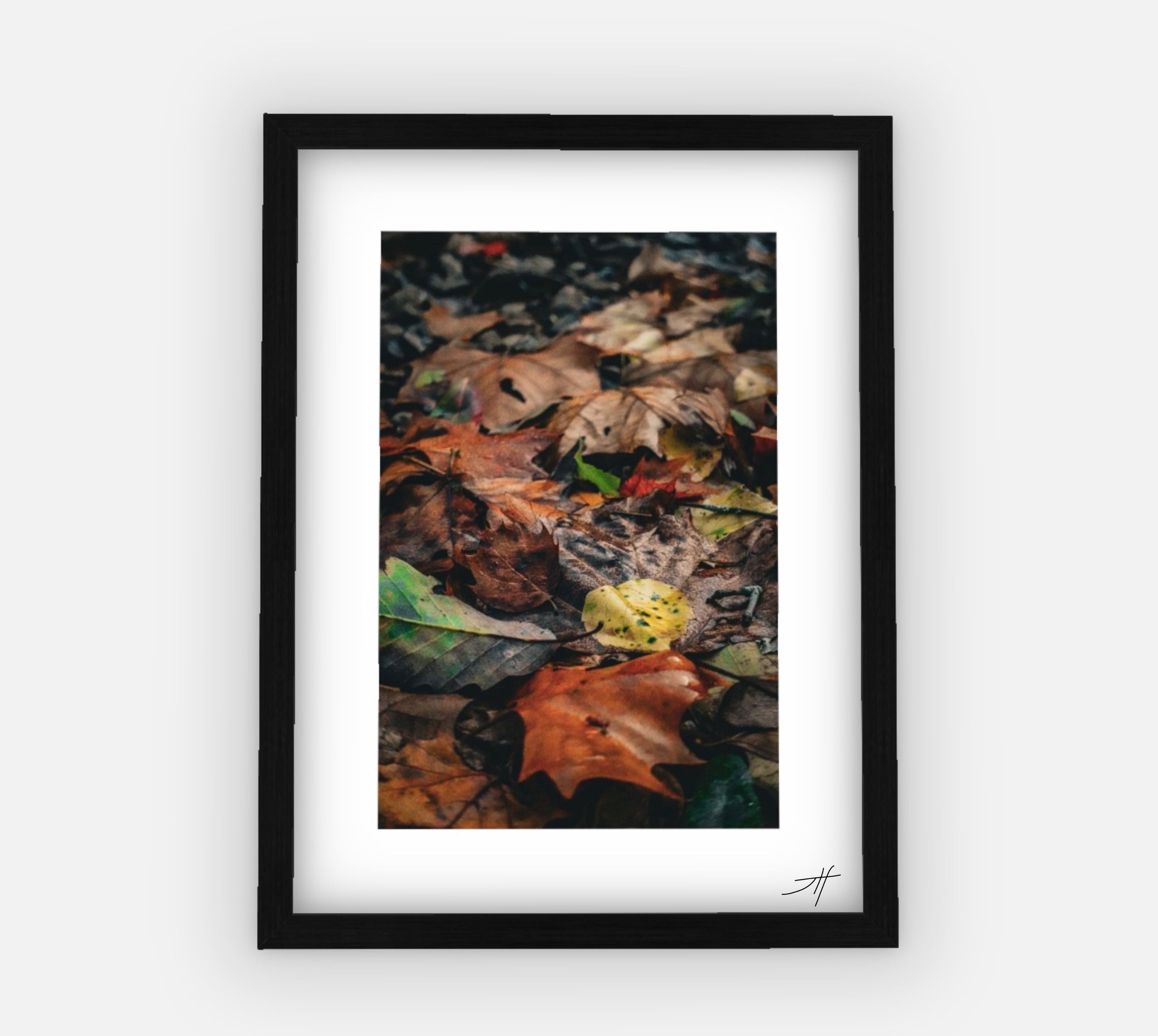 “Fall Foilage” (11x14) Framed Print  image 0